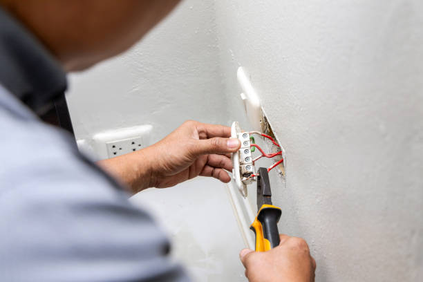 Best Electric Panel Repair  in Apollo Beach, FL