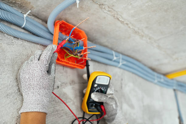 Best Ceiling Fan Installation Electrician  in Apollo Beach, FL